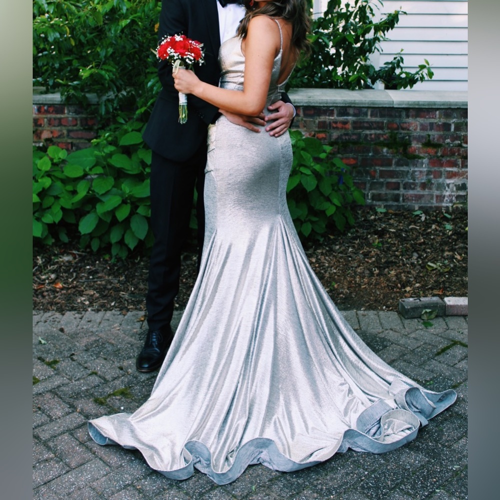 Jovani Silver/Goldish Dress with long, beautiful train - Picture 4 of 4